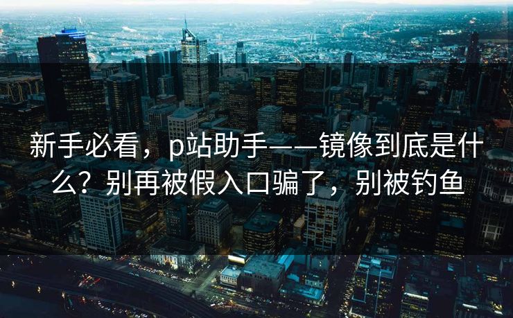 新手必看，p站助手——镜像到底是什么？别再被假入口骗了，别被钓鱼